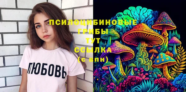 соль ск Абаза