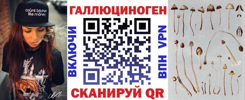 купить   Нахабино  Галлюциногенные грибы мицелий 